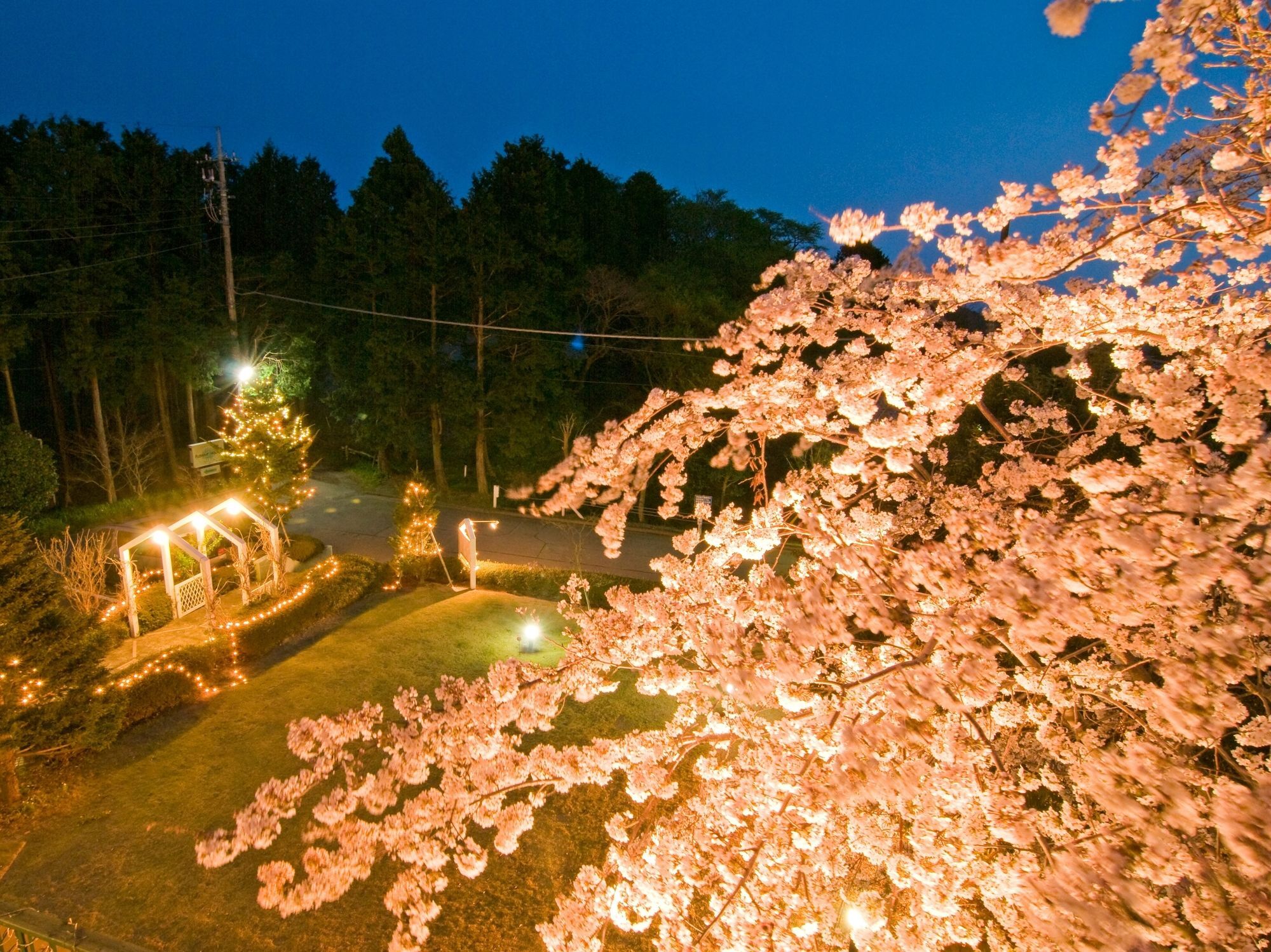 Petit Resort Hotel Alcyon Itō Eksteriør billede